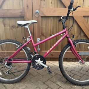 Raleigh Zest