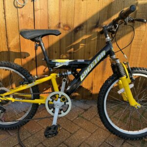 Mountain Ridge - Cheetah